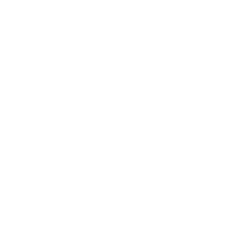 Zibian Labs